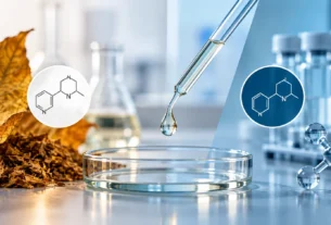 Synthetic and tobacco-derived nicotine impurities research