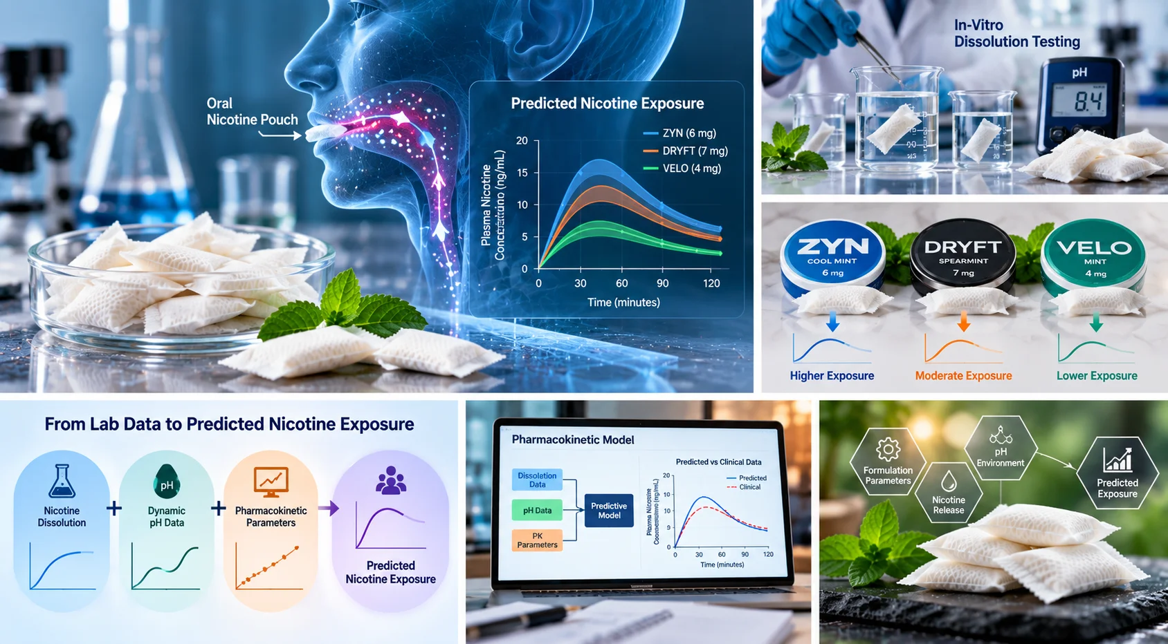 2026 research model predicting nicotine exposure from oral nicotine pouches using dissolution, pH and pharmacokinetic data.