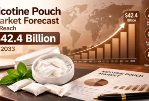 Nicotine pouch market size forecast 2025 to 2033